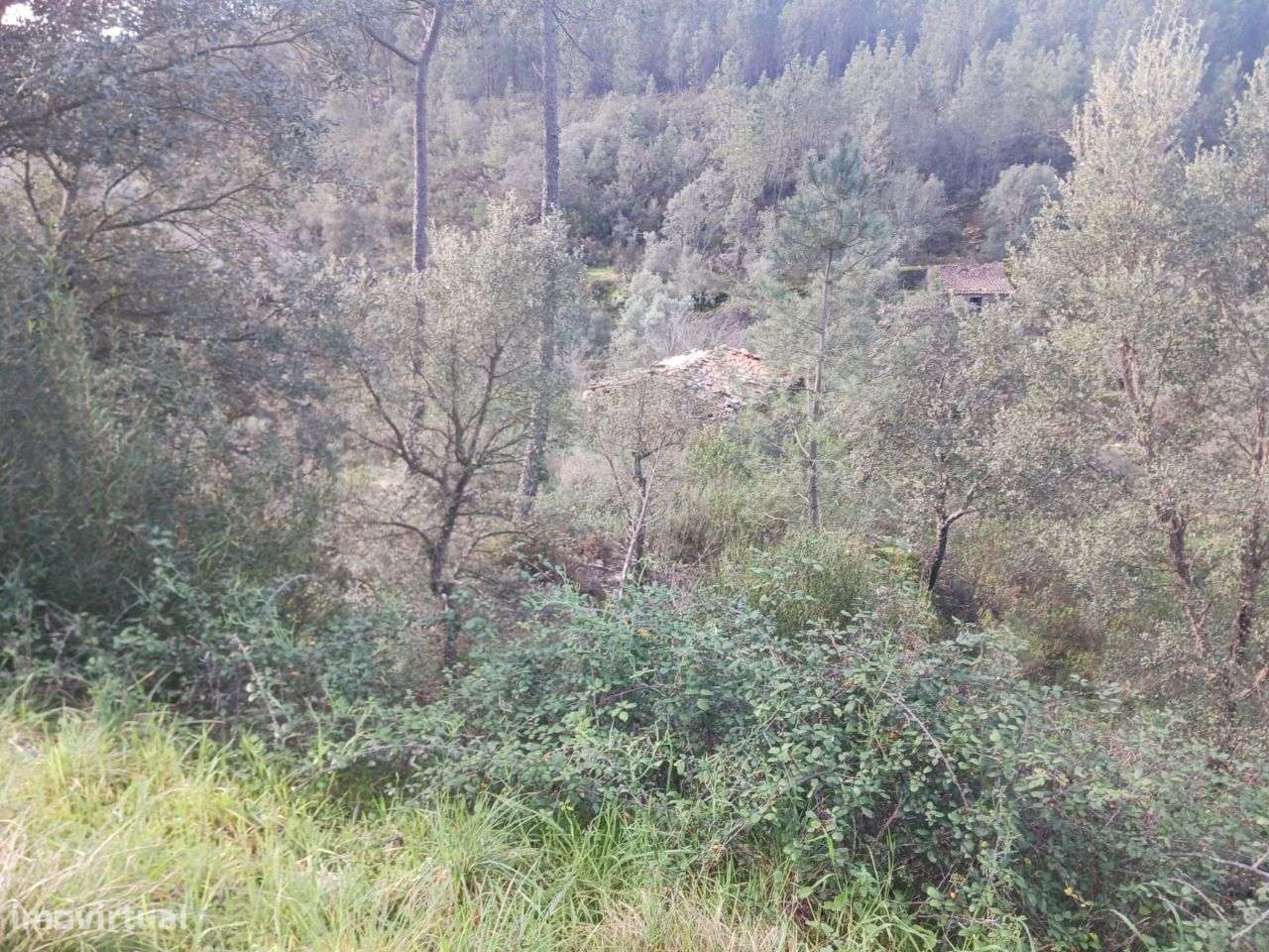 Terreno - Grande imagem: 5/6