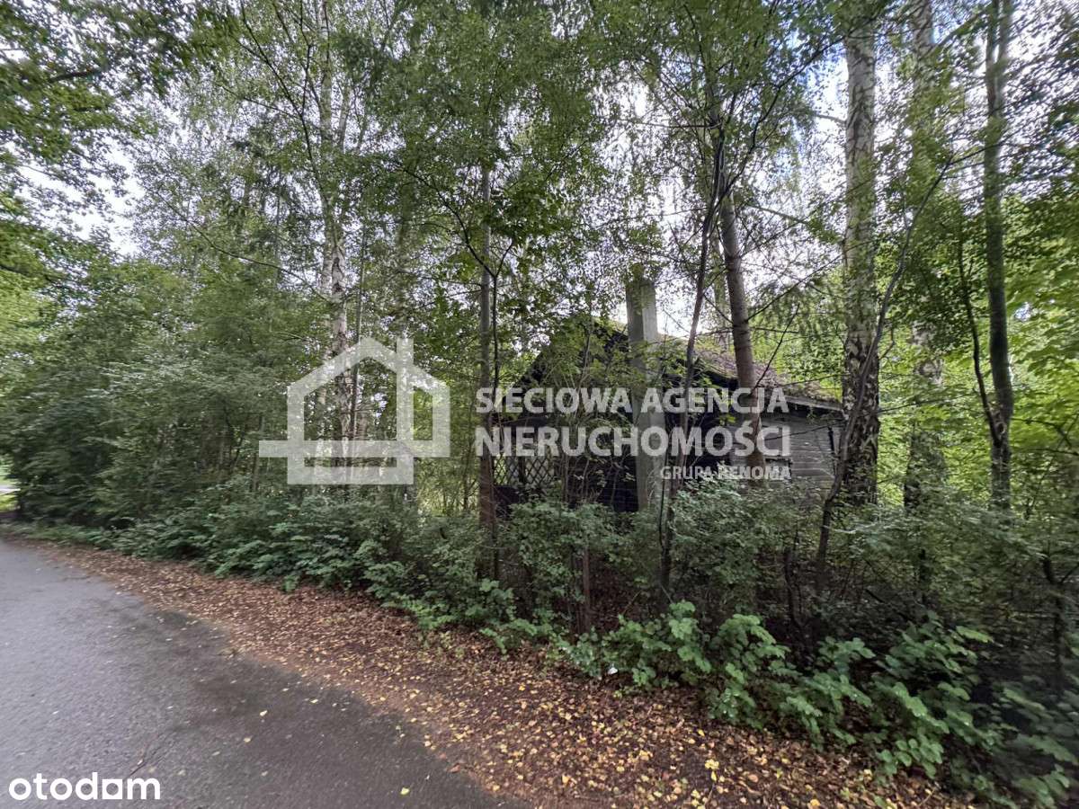 Piękna działka 3,3 ha w Łapinie gm. Kolbudy - Pełny obrazek: 4/18