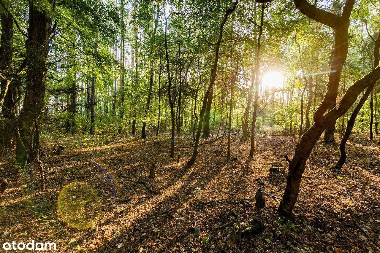 Familia Park Środa Śląska Gotowe-2