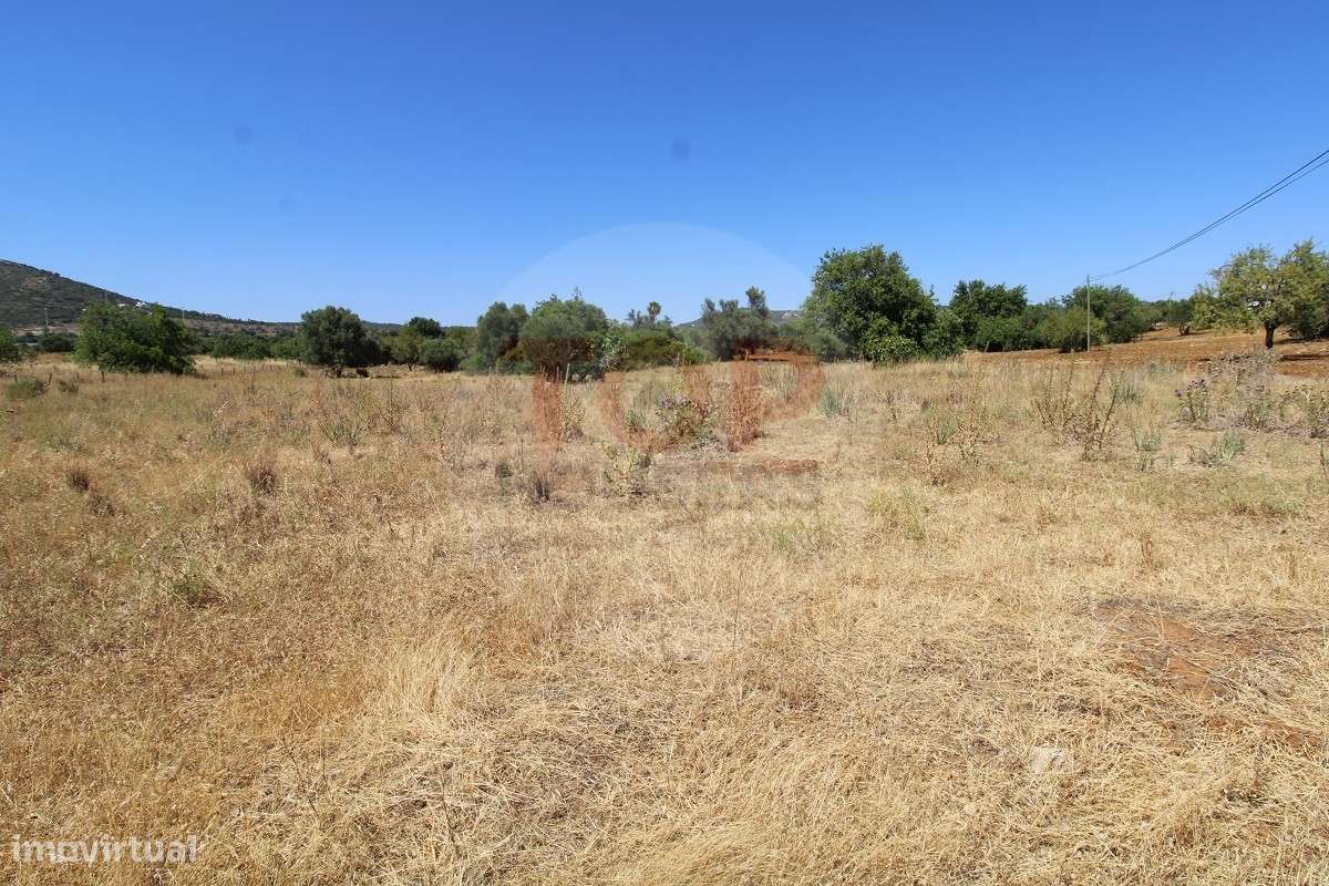 Terreno Rústico - Grande imagem: 2/28