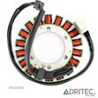 STATOR TRIUMPH DAYTONA 600 650 SPEED FOUR 600 SPEEDMASTER 800 865 SCRAMBLER 865 TT 600 (2000-2007) - 1