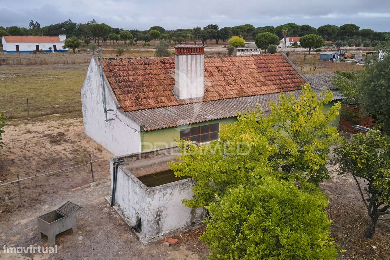 Monte Alentejano para Recuperar - Grândola - Grande imagem: 5/40