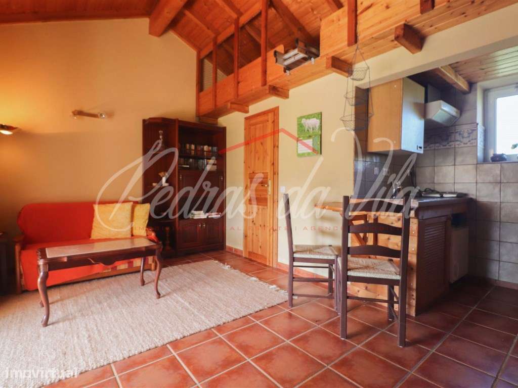 Quinta com 6,5ha em Vale Juncal - São Teotónio-9