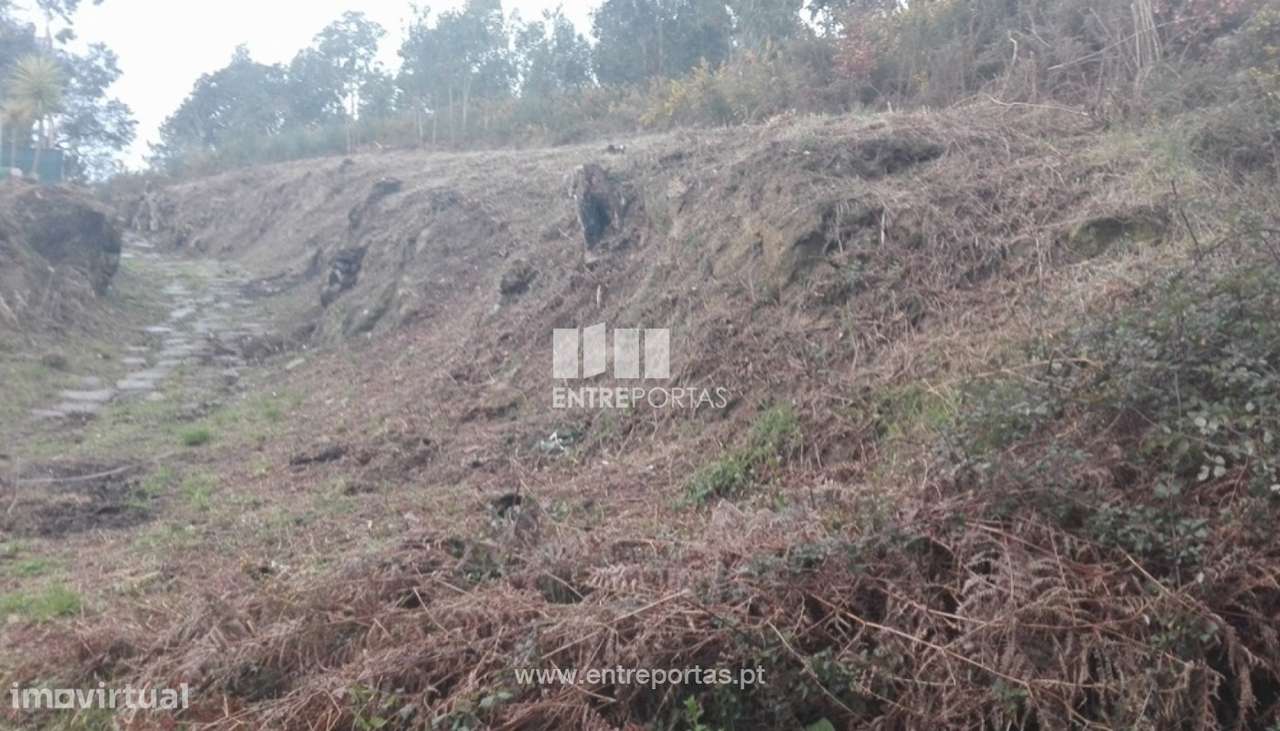 Venda Terreno, Sande, Marco de Canaveses - Grande imagem: 2/6