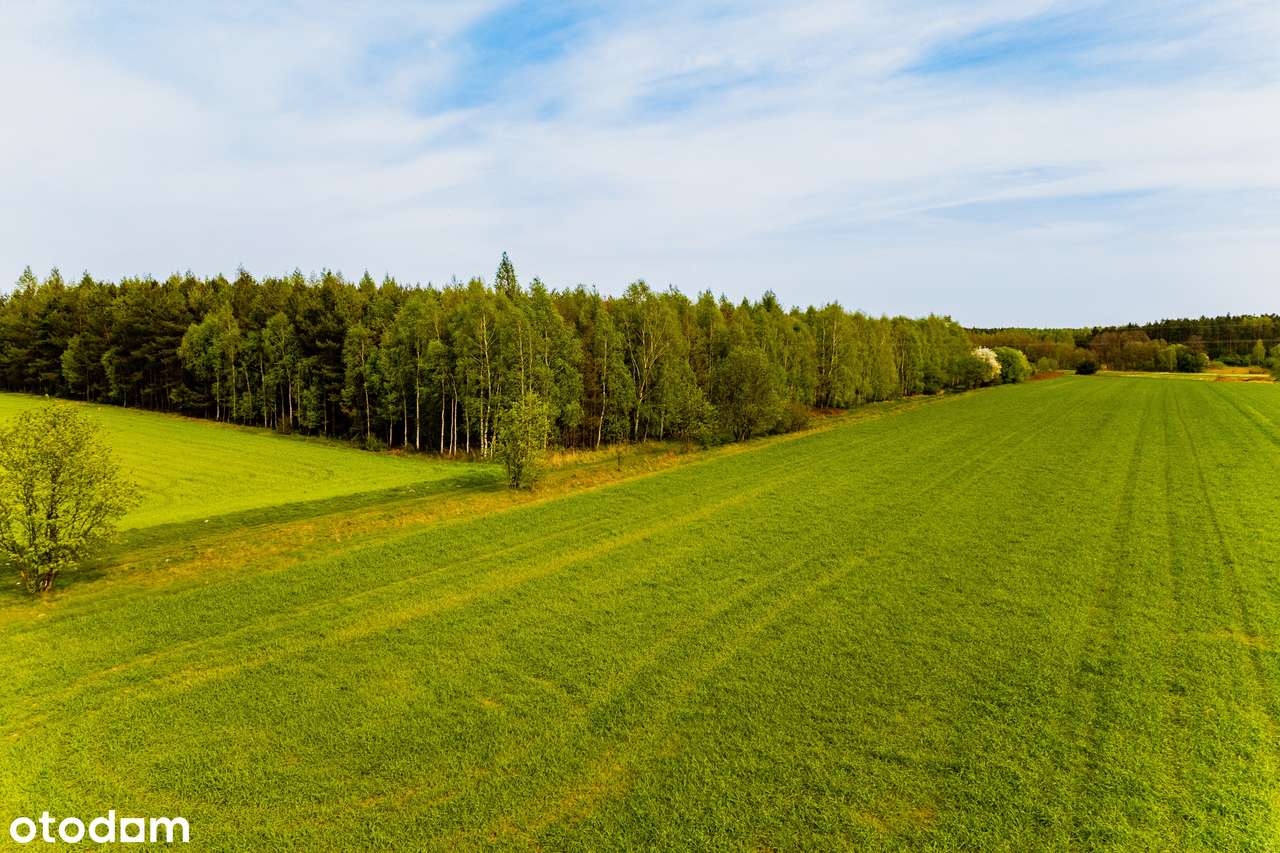 Krępa/Radomsko działki budowlane MPZP asfalt las SUPER PROPOZYCJA !!! - Pełny obrazek: 3/7
