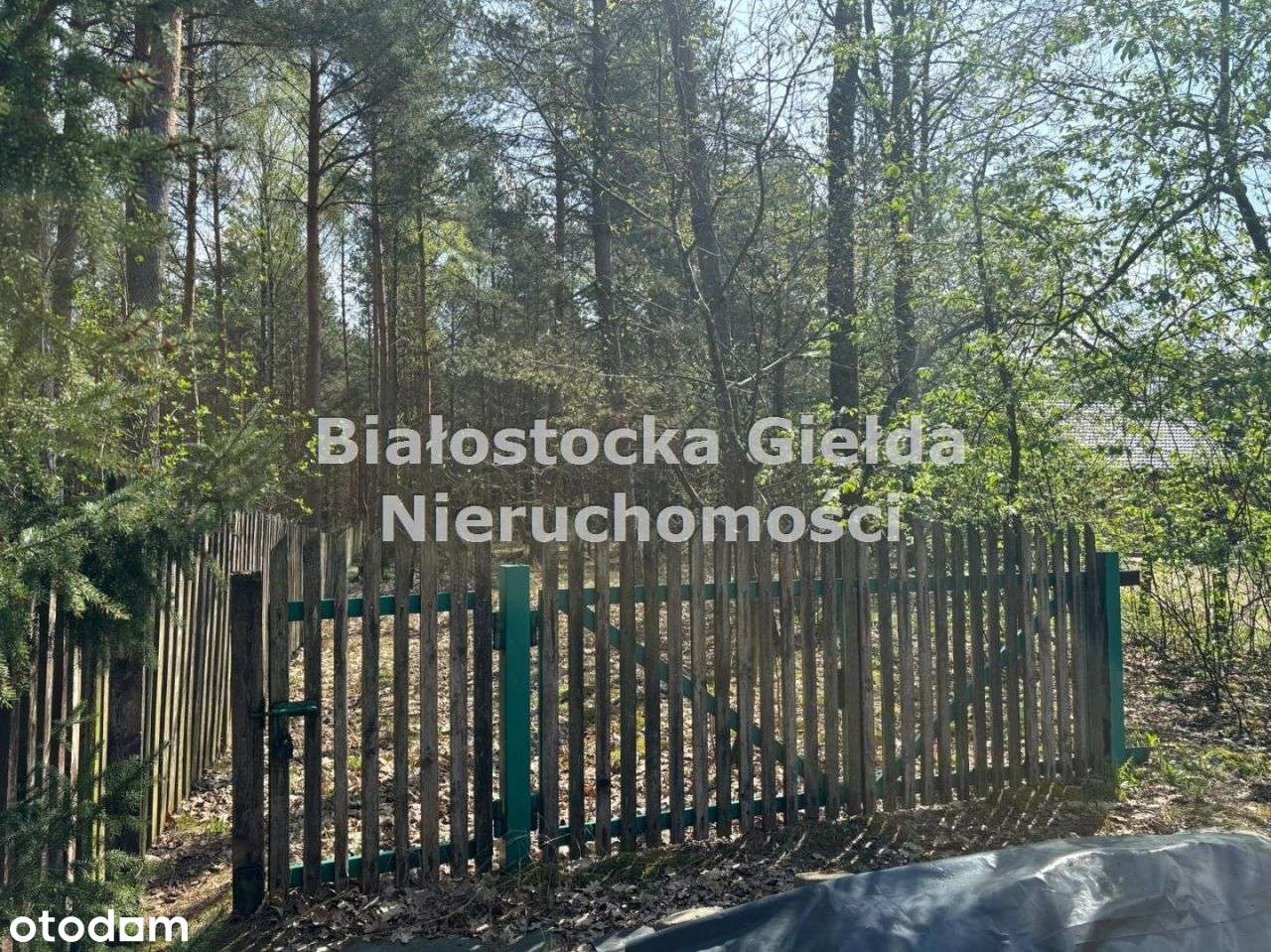 Działka rekreacyjna Baliki osiedle Gwiazda - Pełny obrazek: 5/8