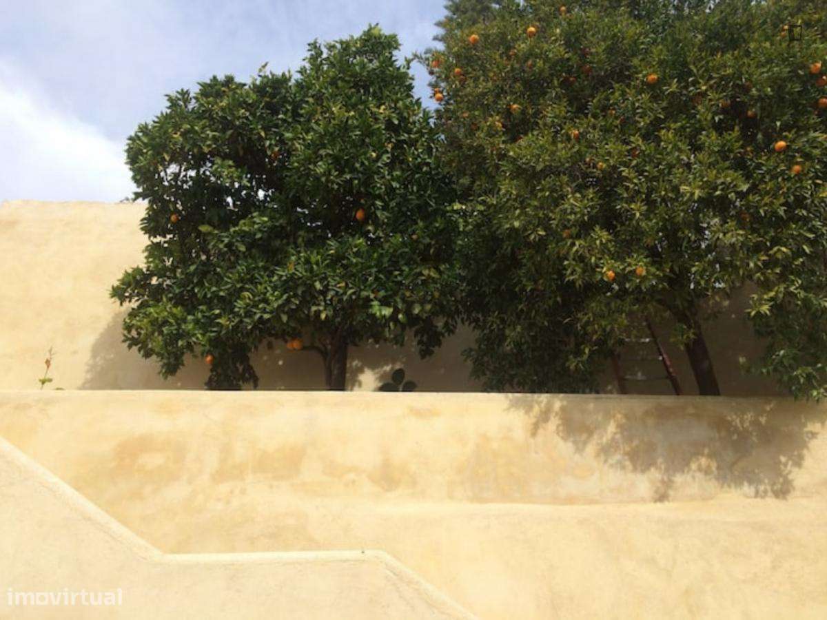 Apartamento com 2 quartos - localizado em Baixa Coimbra - Grande imagem: 4/10