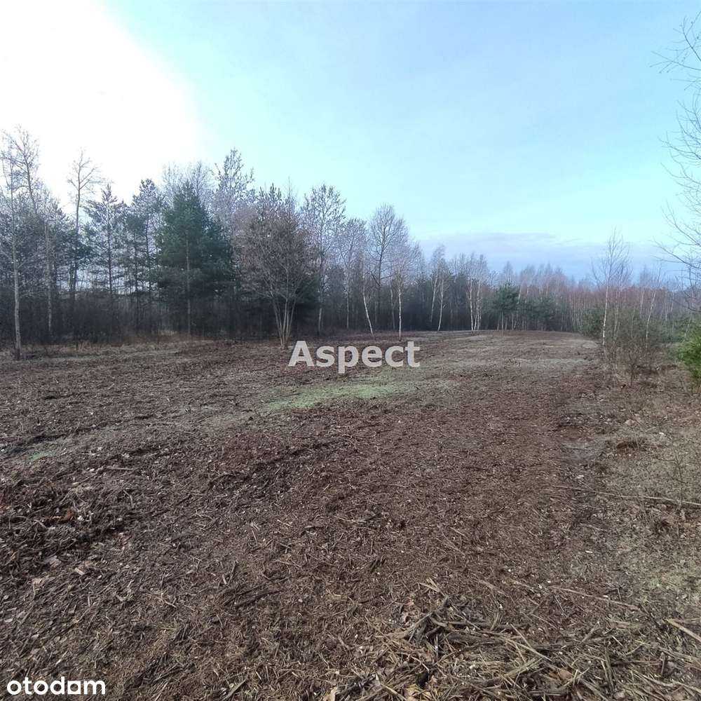 Wysychy !!! atrakcyjne działki pod zabudowę - Pełny obrazek: 5/6