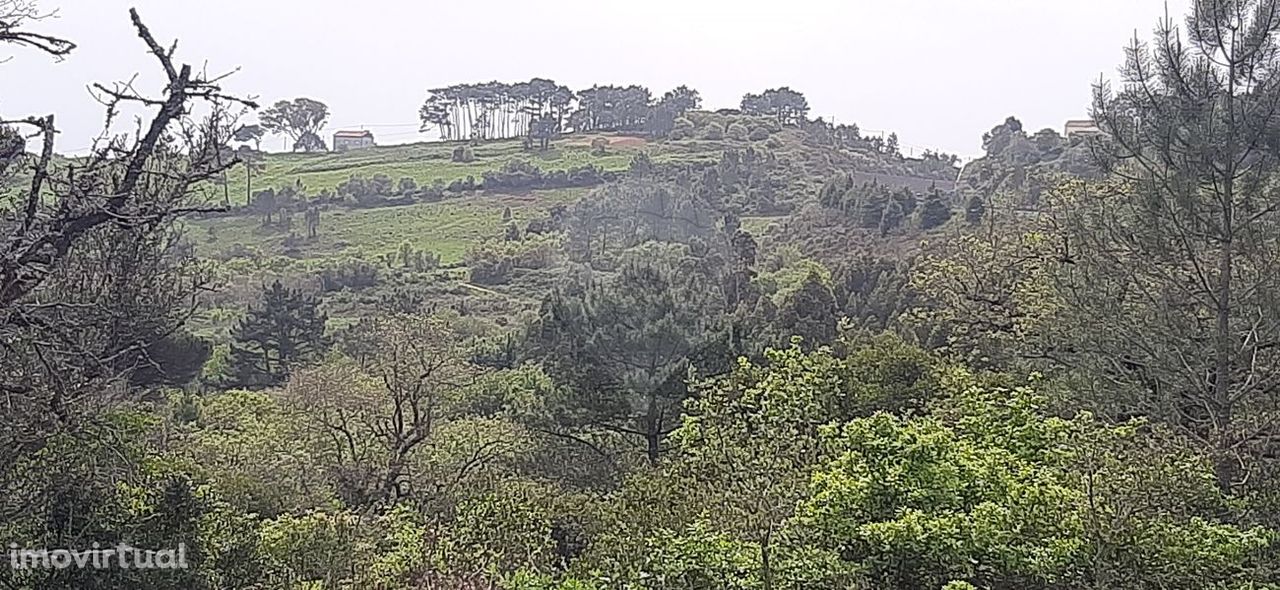 Terreno  para venda