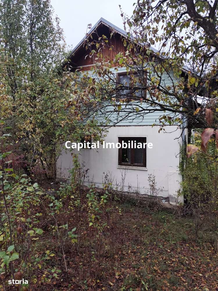 Vanzare sau Schimb! Central Drajna de Jos 5000 mp - Imagine principală: 5/10