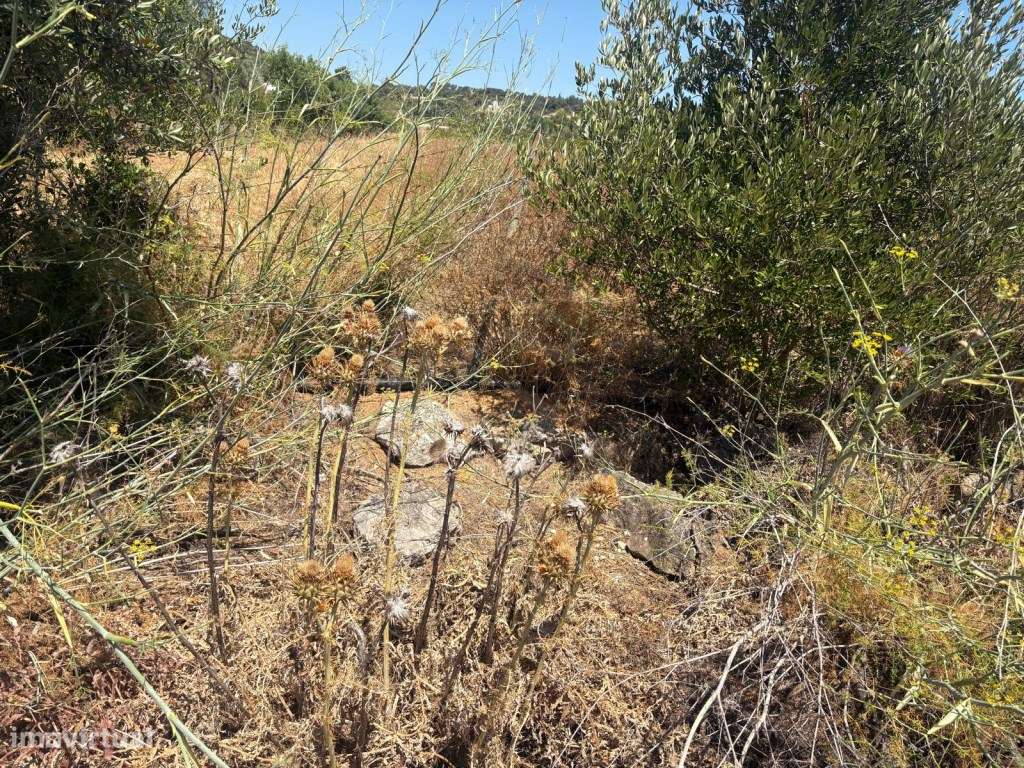 Terreno Urbano de 4.500m² com excelente Localização em Loulé, Algarve - Grande imagem: 5/16
