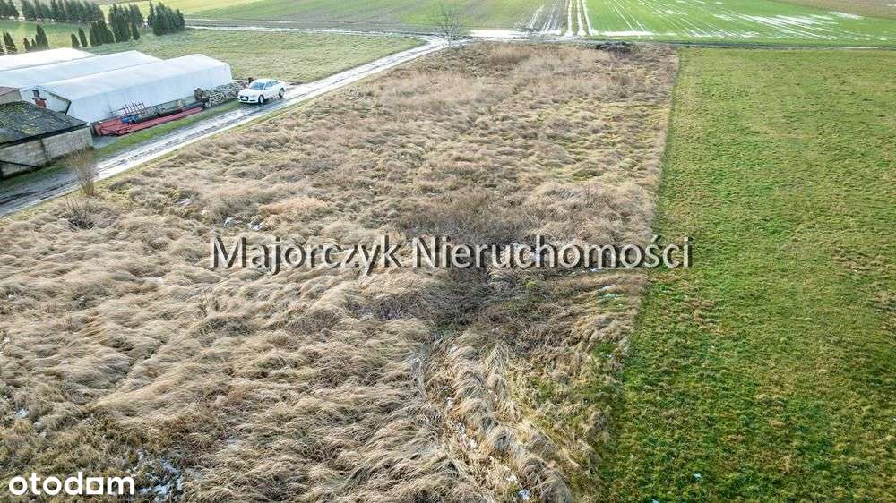 Działki inwestycyjne – Jezierzyce Kościelne - Pełny obrazek: 4/19