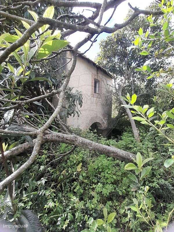 Terreno  para venda - Grande imagem: 5/9