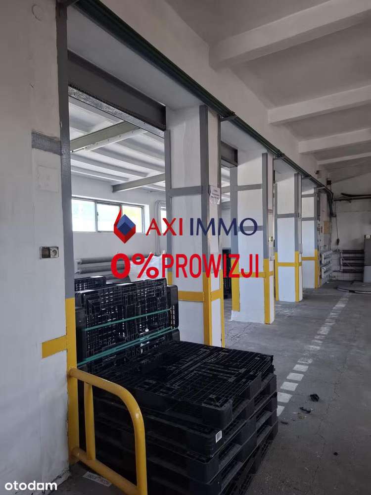 Nieruchomość na sprzedaż w Raciborzu - 3ha - Pełny obrazek: 4/4