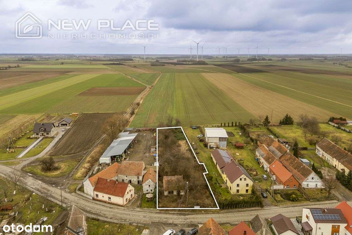 Duża działka z domem do generalnego remontu - Pełny obrazek: 4/9