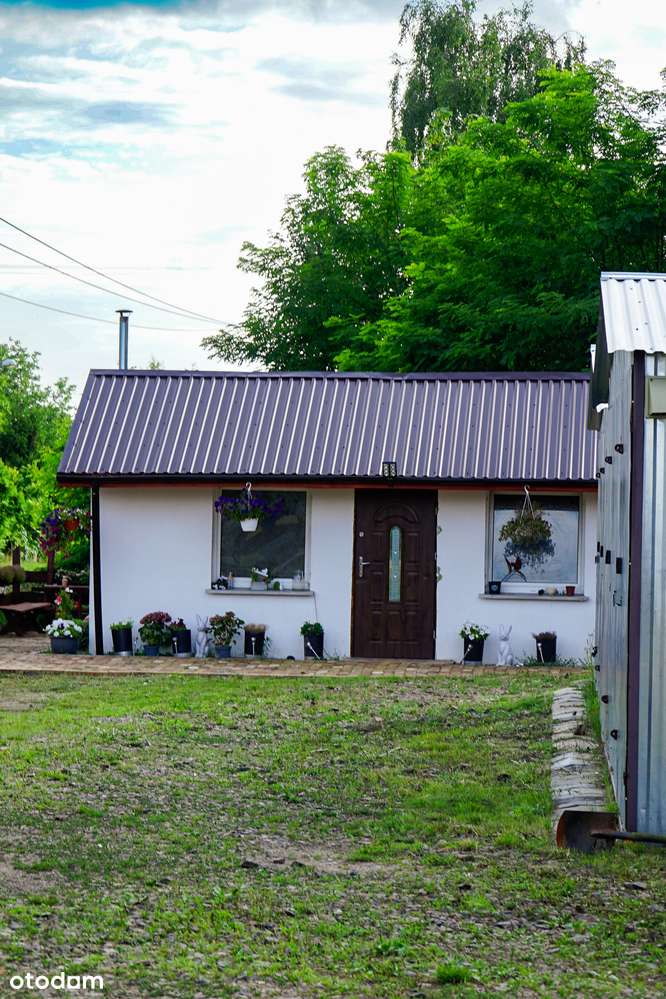 Tylko u nas! Działka z małym domkiem w Czechowie k. Gorzowa Wlkp. - Pełny obrazek: 4/13