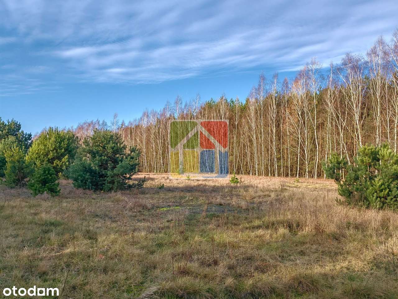 Duża działka 3002 m² przy lesie, 100 m od rzeczki-3