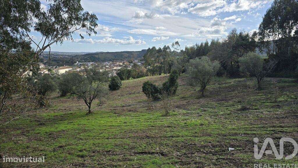 Terreno para construção em Lamas e Cercal - Grande imagem: 5/13