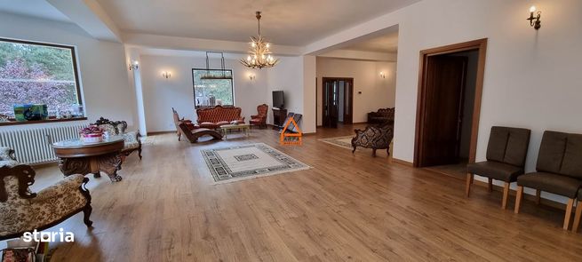 Casa / Vila - 740 mp - 11.000 mp teren - Proprietate Unica - Bucium-15
