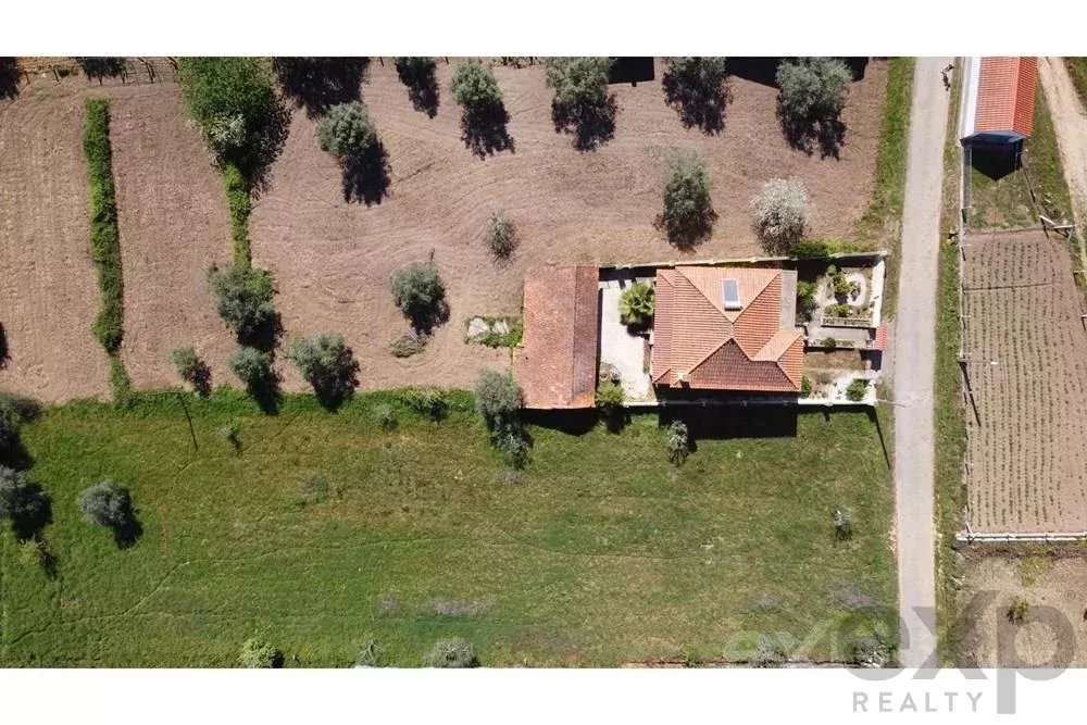 Moradia V3 totalmente renovada e mobilada com um belo jardim - Grande imagem: 4/60