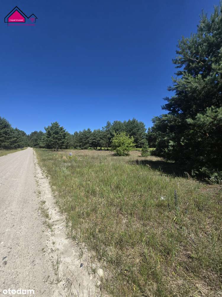 Piękna działka budowlana nieopodal lasu - Pełny obrazek: 4/6