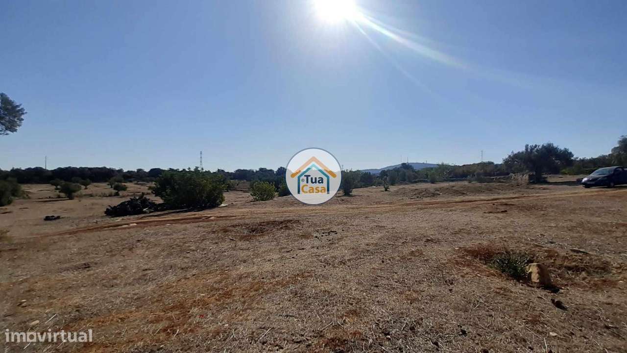 Terreno Rústico com 2,6Ha em Conceição e Estói - Grande imagem: 5/16