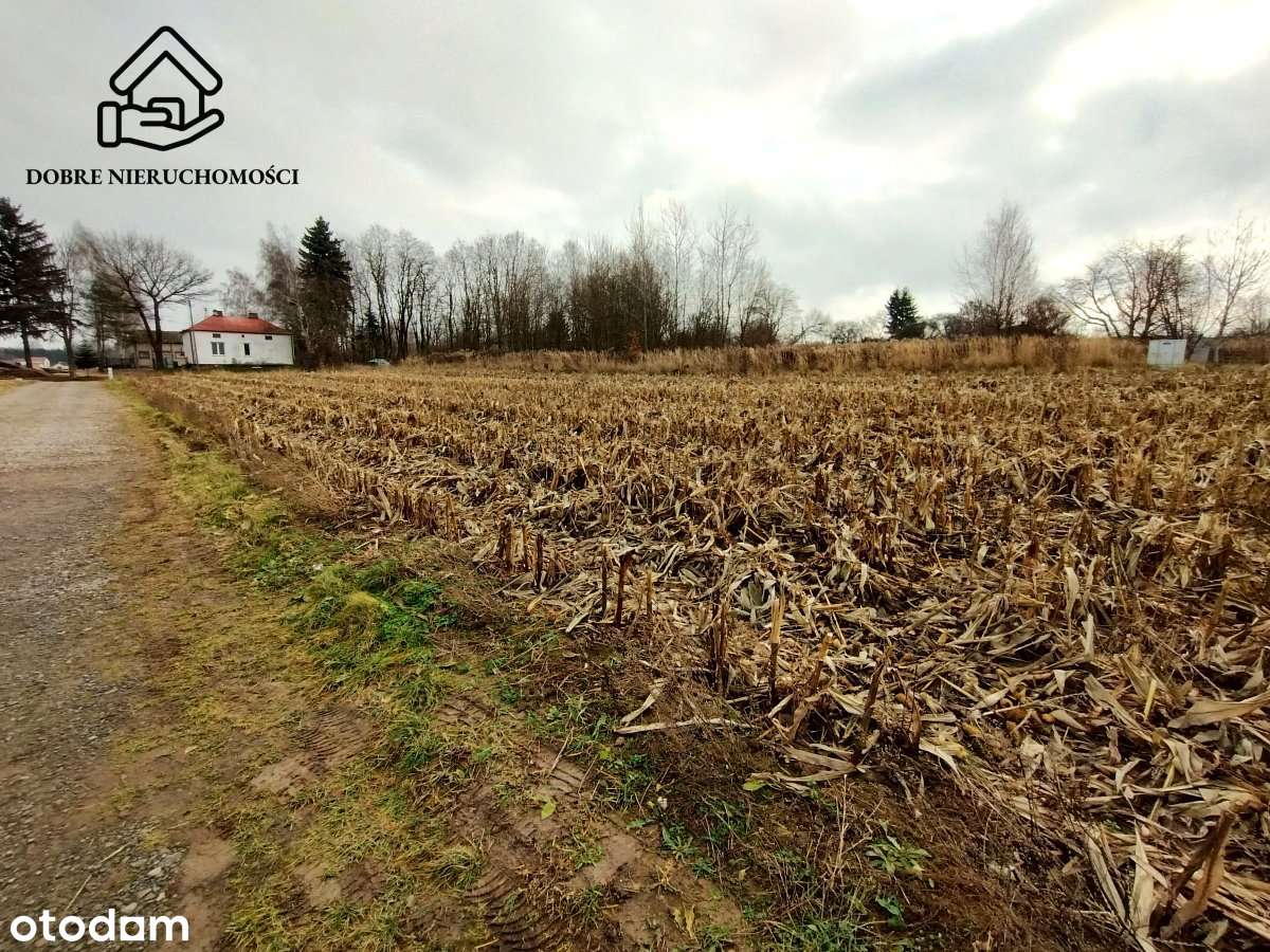 Budowlana 0,17ha przed obwodnicą Płouszowice Kol.-6