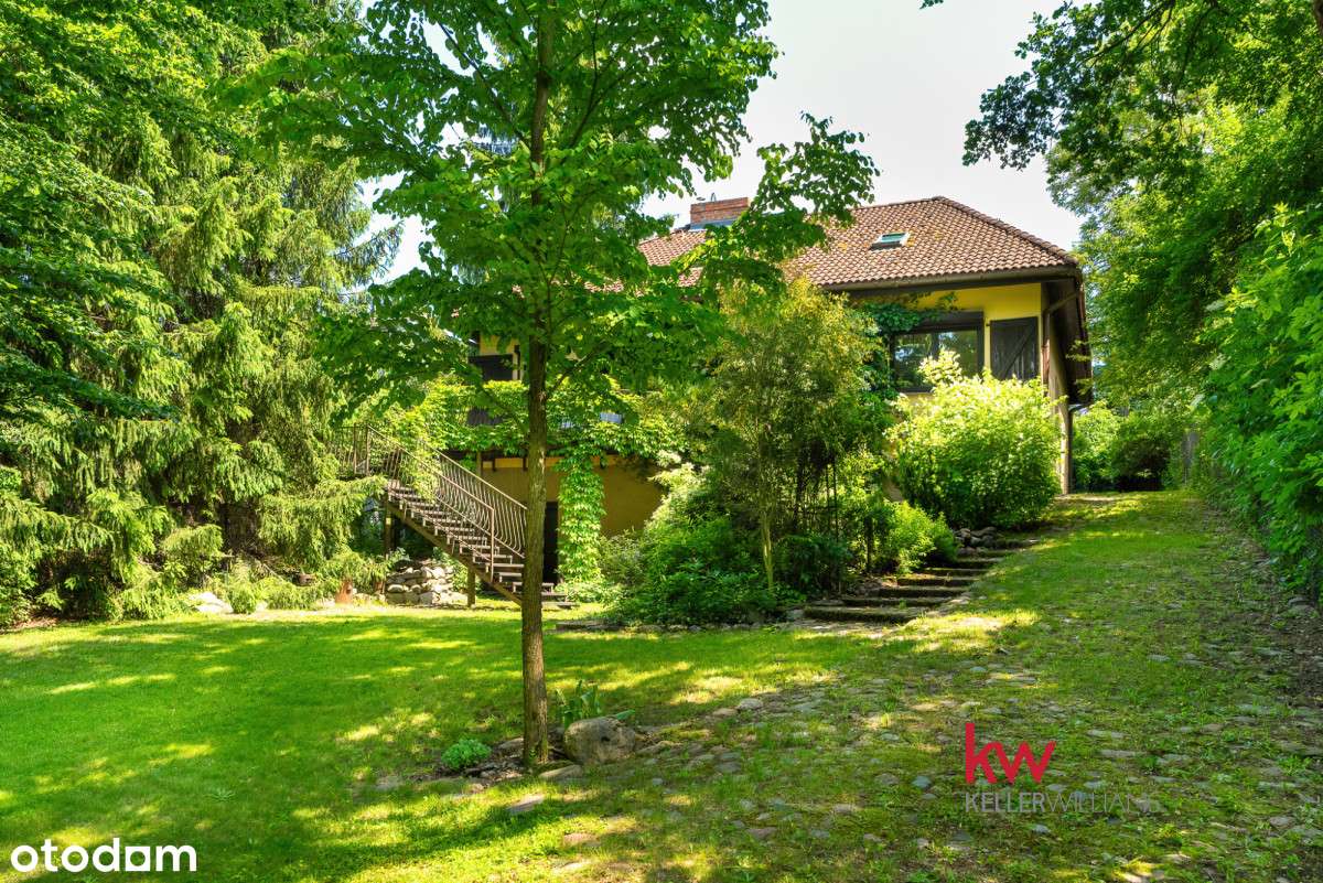 Nowa Cena Działka  ze stawem i dom Chyby - Pełny obrazek: 5/20