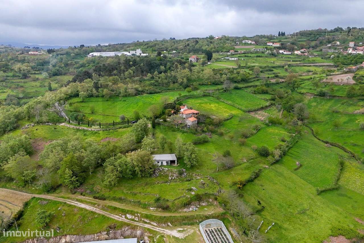 Refúgio rural junto ao Douro – vive em harmonia com a natureza! - Grande imagem: 4/56