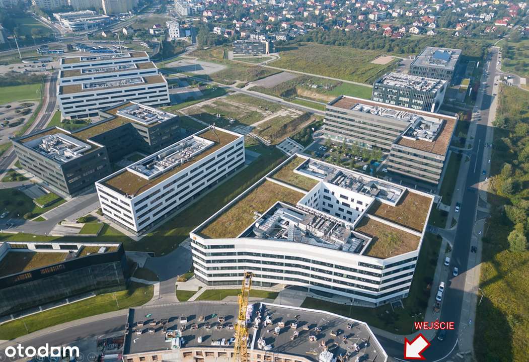 idealny na spożywkę I 400 mieszkań + 200k biur I bez konkurencji - Pełny obrazek: 2/6