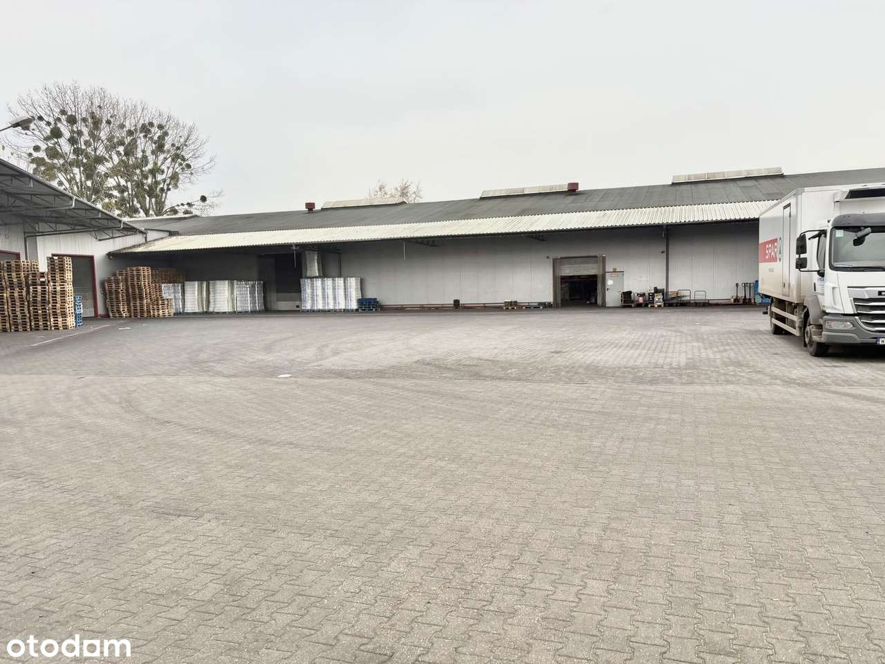 Sprzedam lub wynajmę Hala magazynowa Wągrowiec 3282 m2 - Pełny obrazek: 5/20