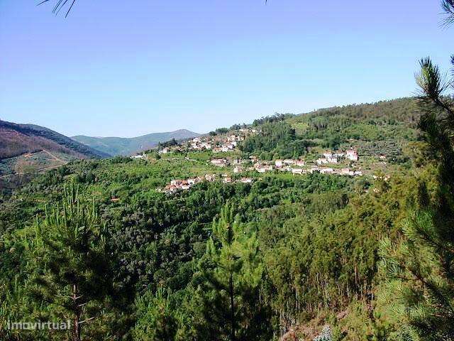 Terreno - Quinta Stª. Justa - Cultura e Pinhal - 6,98 ha - Valongo - Grande imagem: 2/12