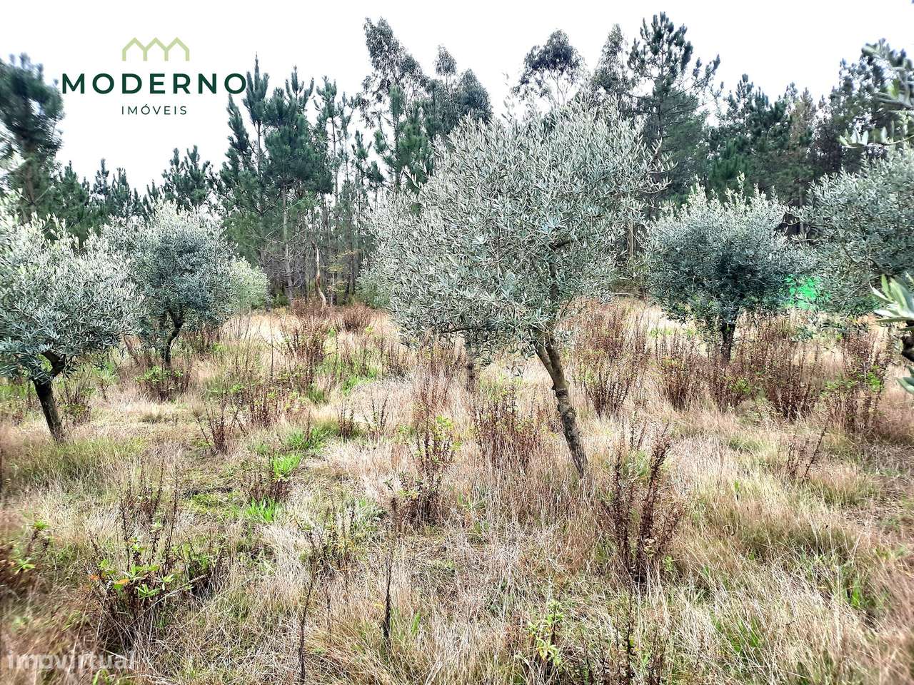 Terreno Construção – Outeiro da Ranha, Vermoil – Pombal - Grande imagem: 5/9