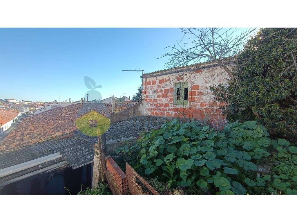 Aljustrel 3 casas para recuperar - Grande imagem: 5/7