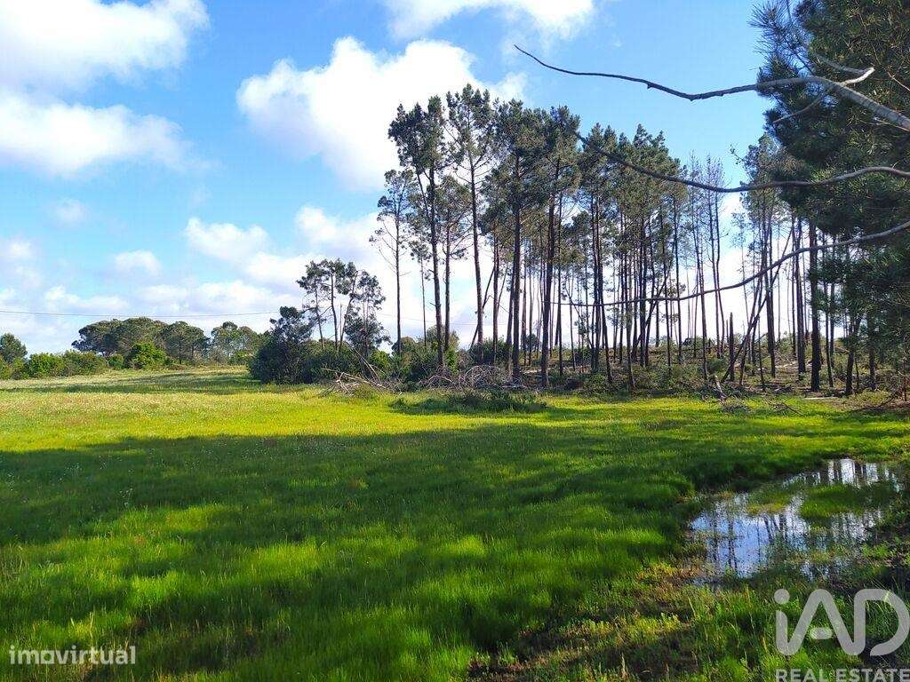 Terreno para construção T3 em Rogil de 198,00 m2 - Grande imagem: 4/29