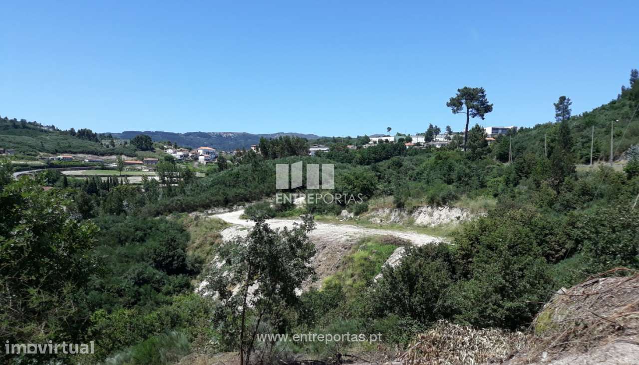 Venda Terreno, Ancede, Baião - Grande imagem: 5/6