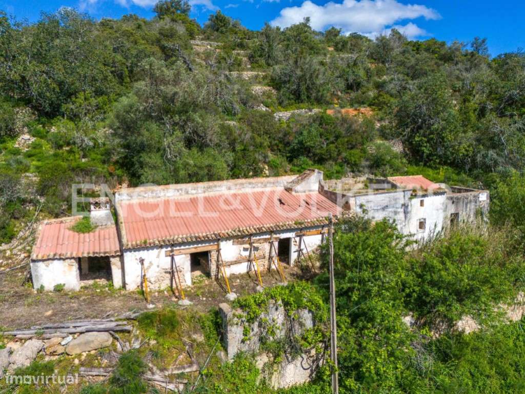 Investimento - Terreno com ruína em Estoi - Grande imagem: 5/13