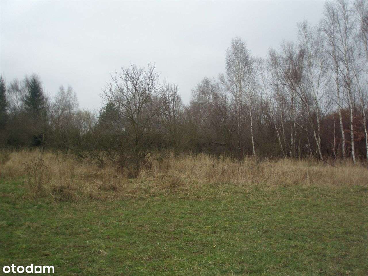Działka Chludowo - Pełny obrazek: 5/9