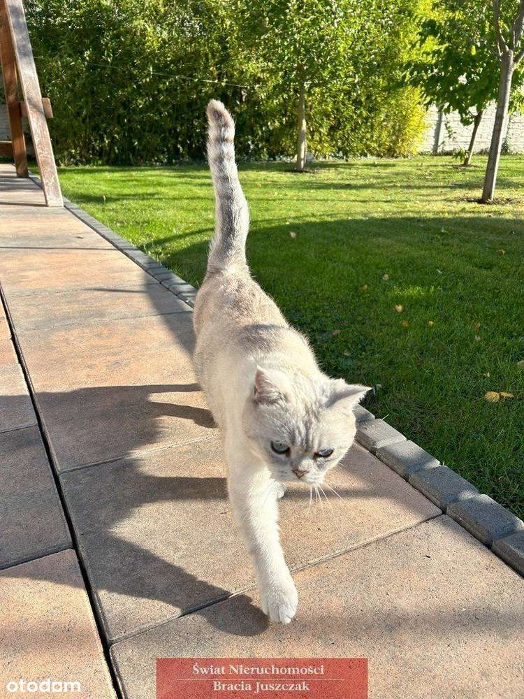 Okazja !! Dom jednorodzinny w Kościerzycach - Pełny obrazek: 4/20