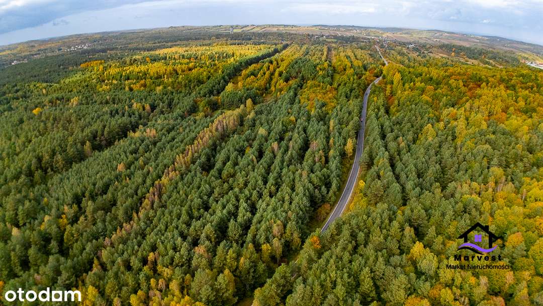 Niegowa | Działka rolna | Atrakcyjna lokalizacja - Pełny obrazek: 5/6