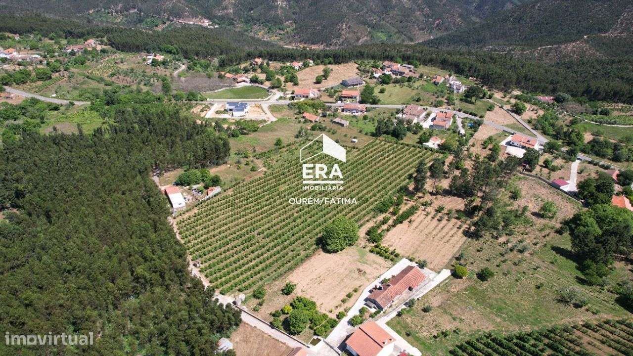 Terreno Rústico no Beco, Ferreira do Zêzere - Grande imagem: 4/9