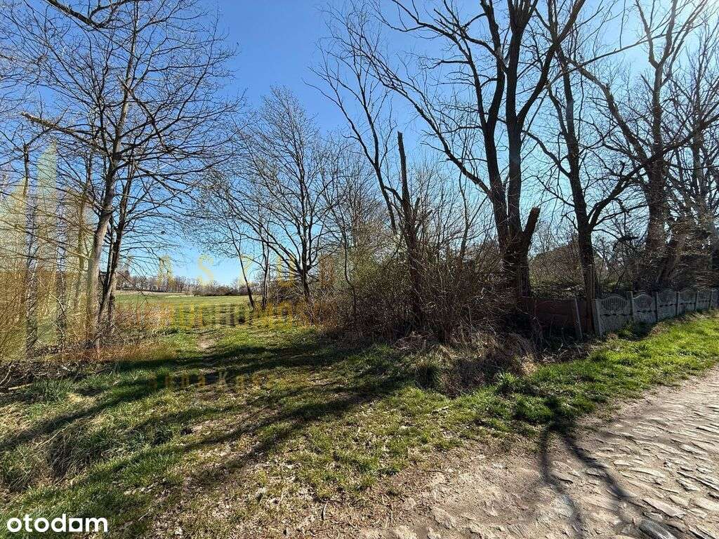 Na sprzedaż działki budowlane w Niwicy - Pełny obrazek: 4/10