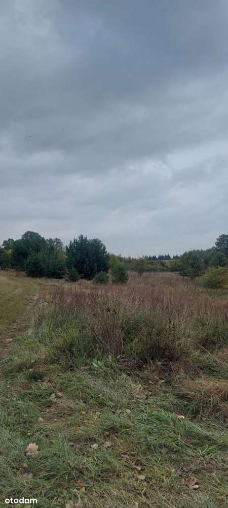 Malownicza działka rolna w pobliżu jeziora-7