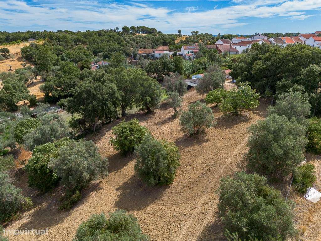 Terreno P/Construção-10