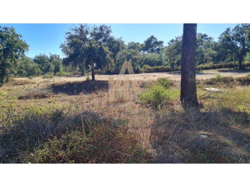 Fantástico terreno para construção de moradia em banda na Cotovia - Grande imagem: 5/7