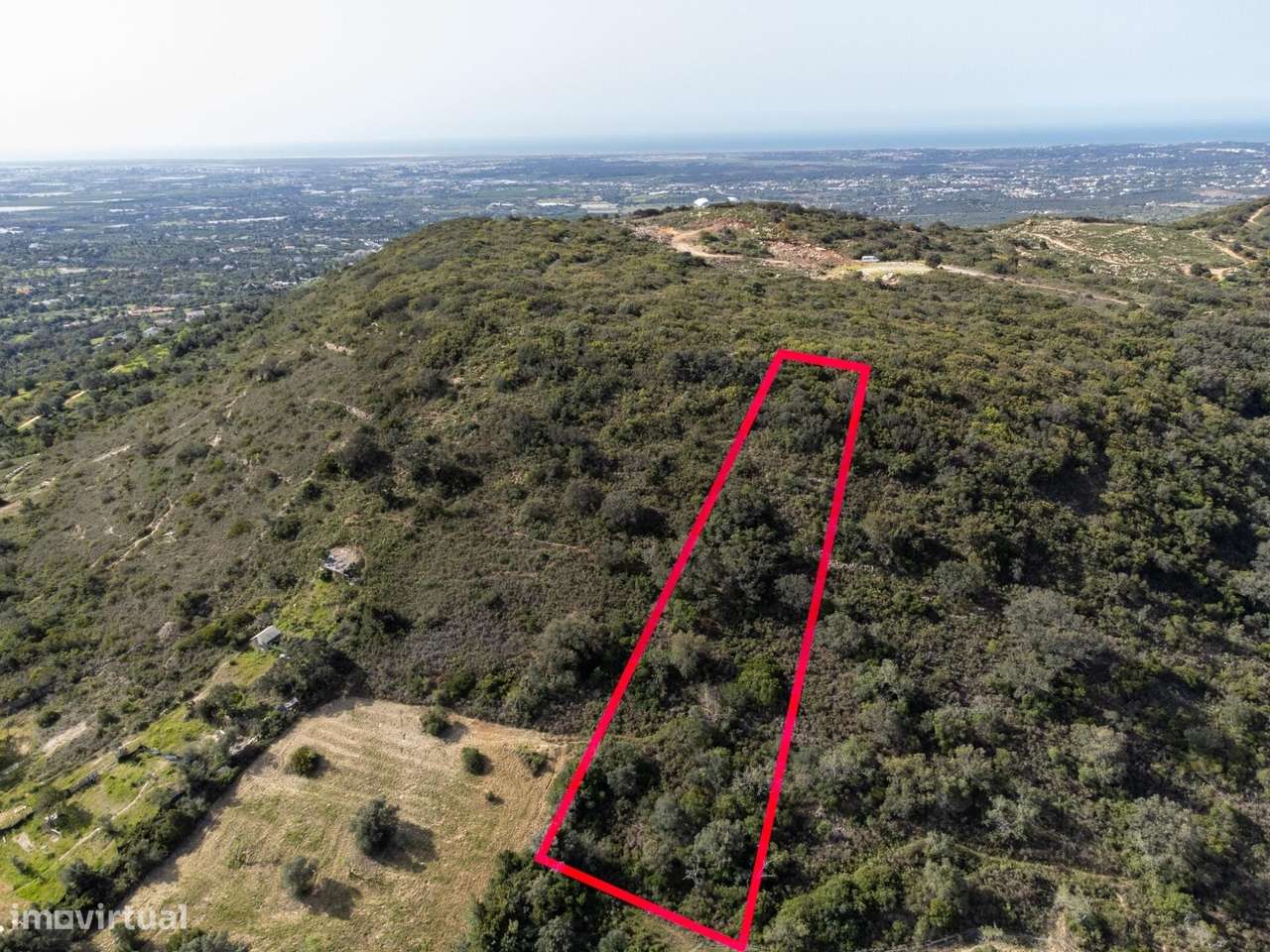 Terreno Rústico, Gorjões, Santa Bárbara de Nexe - Grande imagem: 2/10