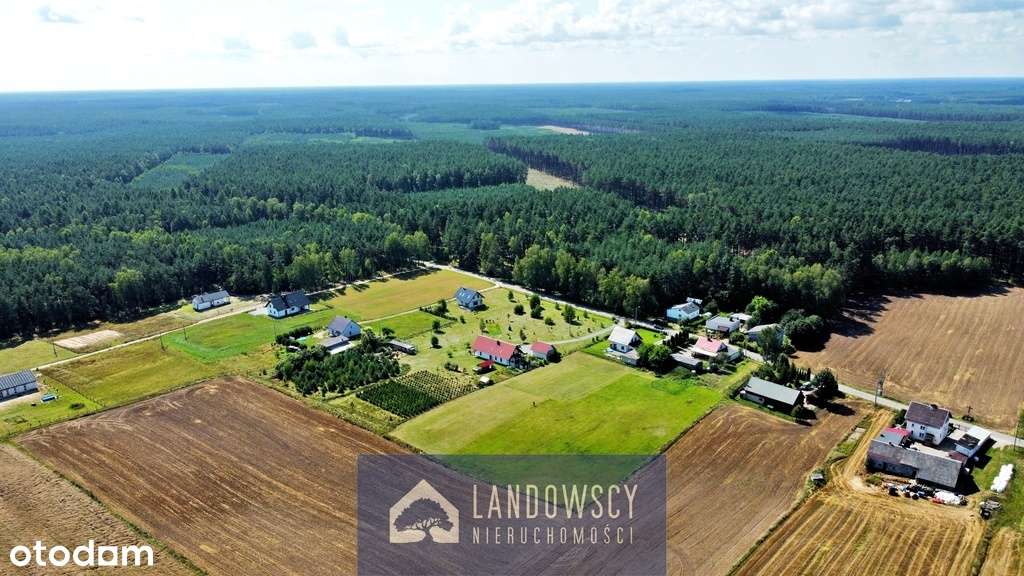 Działka w Osowie Leśnym-Twój azyl ciszy wśród lasu - Pełny obrazek: 5/20