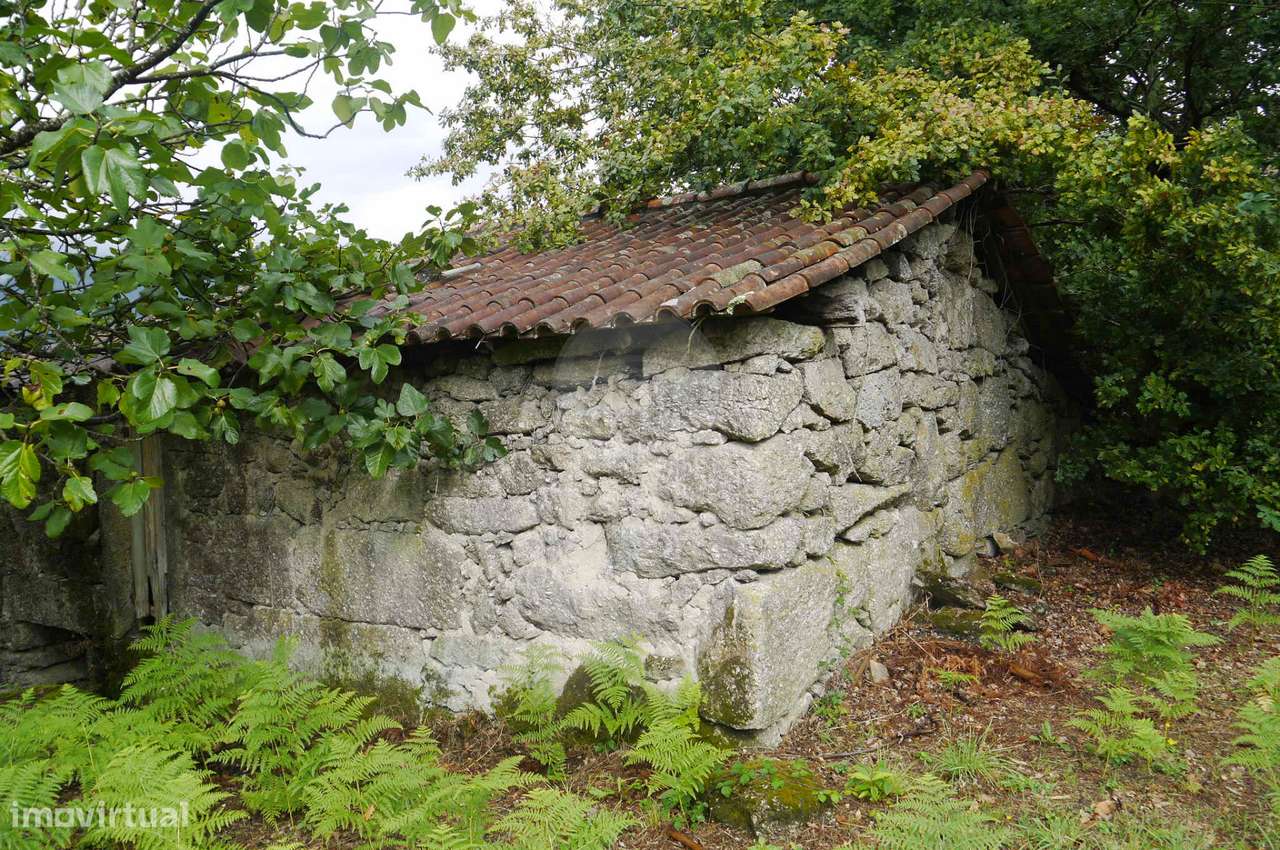 Terreno com duas casas para restauro com 2950m² - Grande imagem: 4/26