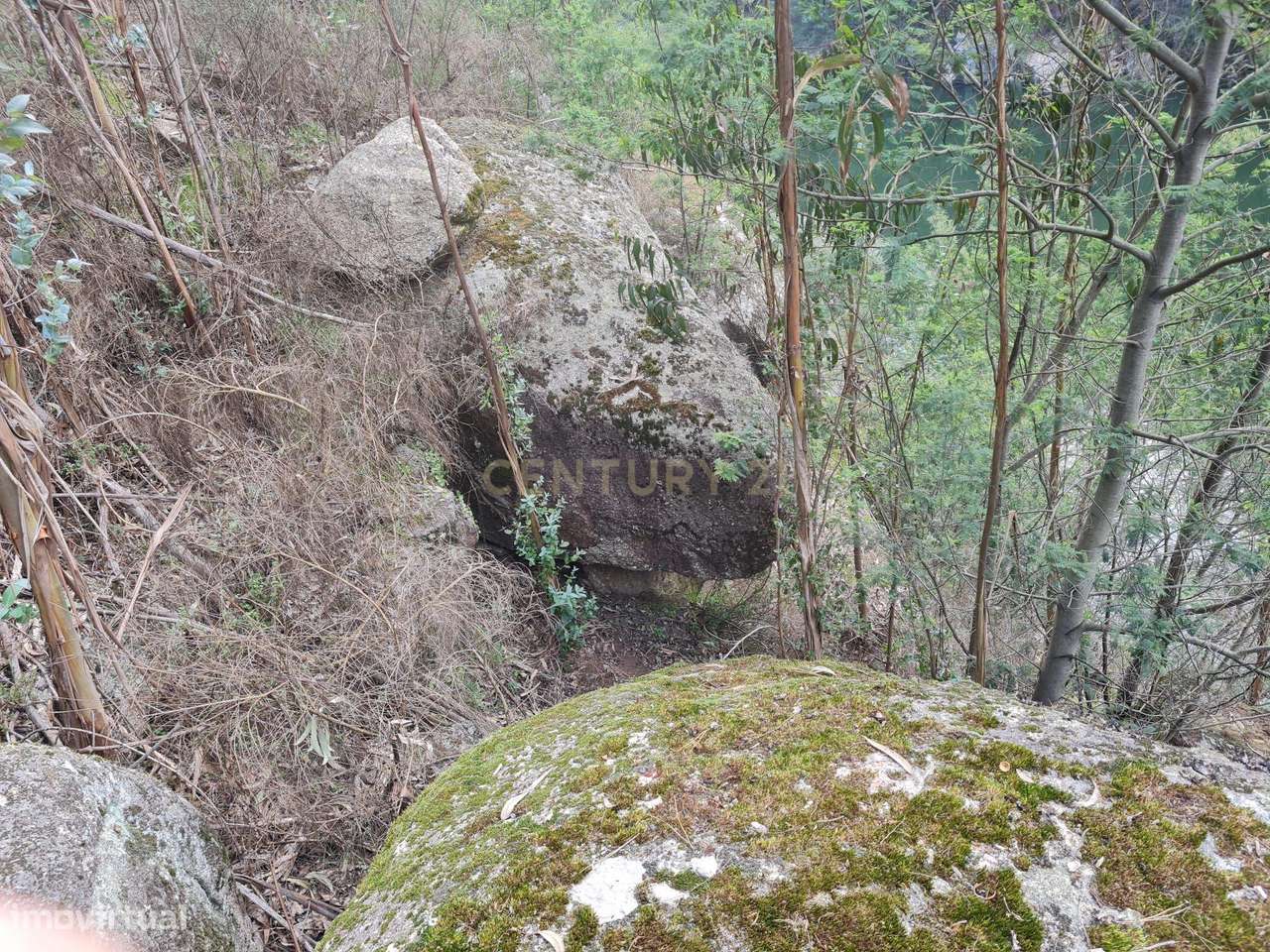 Quinta das Fontainhas, Rio de Moinhos, Penafiel-9