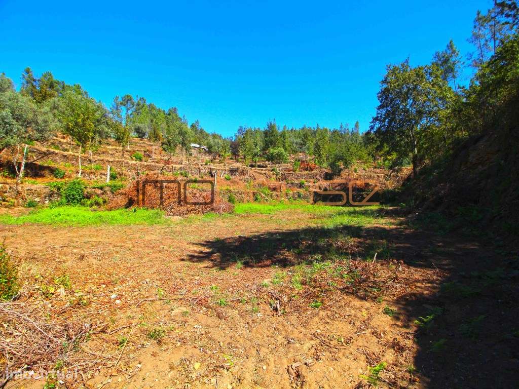 Quinta Isolada com Margem de Rio e Potencial de Eco-Retiro - Arouca-41